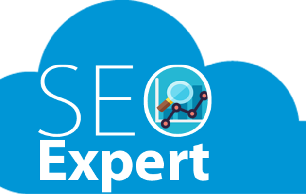 Who is an SEO Expert